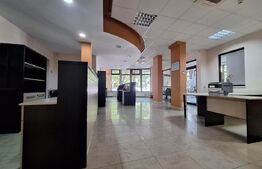 Spatiu comercial de 123 de mp, Zona LIpovei