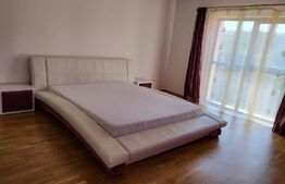 Casa individuala de lux, zona Aradului, suprafata 436 mp, 261 utili