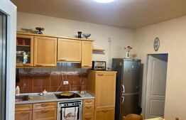 Casa 8 camere 350 mp Utvin aproape de centrul comunei 1760mp teren 23ml front