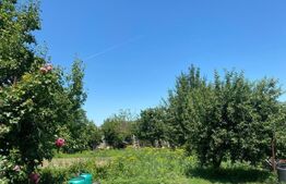 Casa 8 camere 350 mp Utvin aproape de centrul comunei 1760mp teren 23ml front