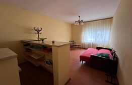 Casa individuala 7 camere, Girocului langa Kaufland