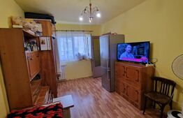 Apartament 1 camera, decomandat, zona Fraidorf