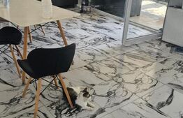 De vanzare casa individuala 190 mp, 700 mp teren, zona Freidorf