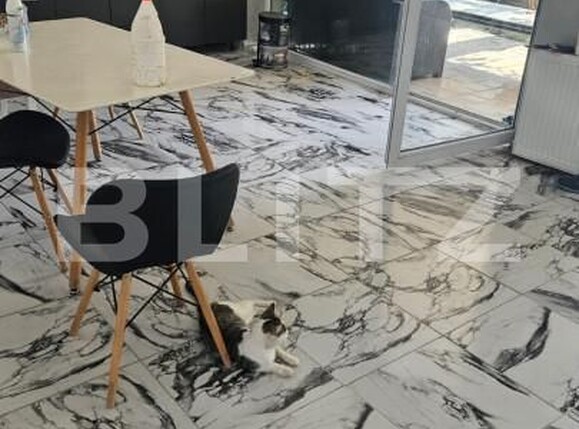 Casa de vânzare 7 camere Freidorf - 153291CV | BLITZ Timișoara | Poza9