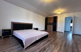 Individuala frumoasa,  proprietate, 6 camere, teren 525 mp, Remetea Mare