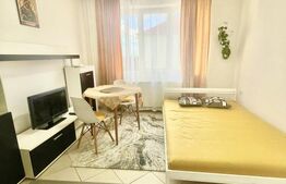 Garsoniera, mobilata, utilata, etaj 3, zona Iulius Mall