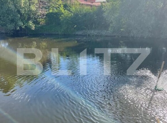 Casa de vânzare 5 camere Ghirodei - 153461CV | BLITZ Timișoara | Poza13