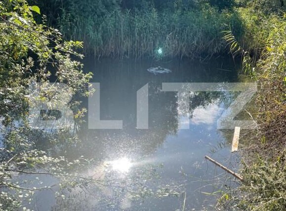 Casa de vânzare 5 camere Ghirodei - 153461CV | BLITZ Timișoara | Poza14