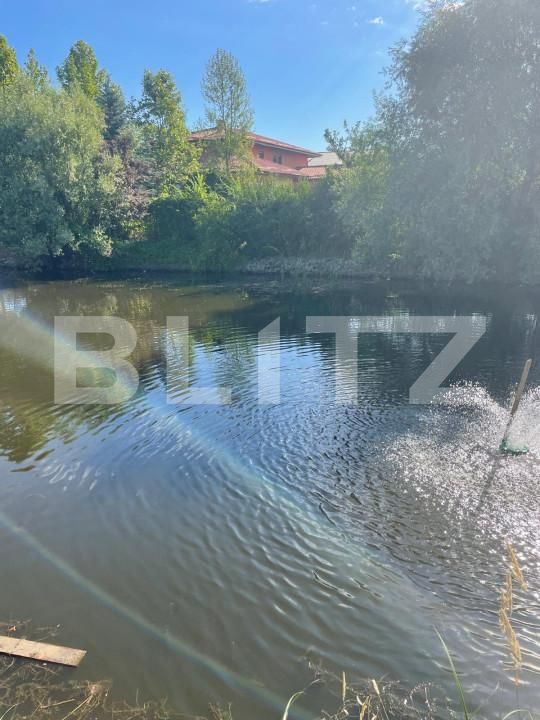 Casa de vânzare 5 camere Ghirodei - 153461CV | BLITZ Timișoara | Poza13