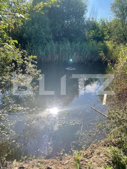 Casa de vânzare 5 camere Ghirodei - 153461CV | BLITZ Timișoara | Poza14