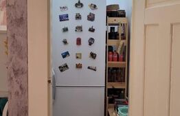 Apartament cu 3 camere, complet renovat, 112 mp, zona Iosefin