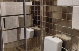 Apartament cu 3 camere, complet renovat, 112 mp, zona Iosefin