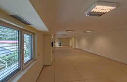 Spatiu cu vad, ideal clinica, after, 300m utili, access facil din Calea Sagului