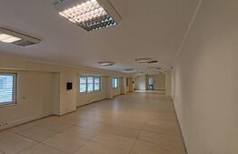 Spatiu cu vad, ideal clinica, after, 300m utili, access facil din Calea Sagului