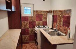 Doua case de vanzare pe un teren mare in Timisoara!