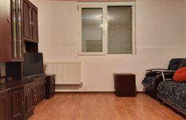 Doua case de vanzare pe un teren mare in Timisoara!