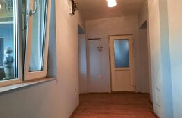 Doua case de vanzare pe un teren mare in Timisoara!