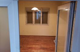 Doua case de vanzare pe un teren mare in Timisoara!