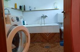 Doua case de vanzare pe un teren mare in Timisoara!