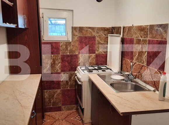 Casa de vânzare 6 camere Sagului - 154239CV | BLITZ Timișoara | Poza5