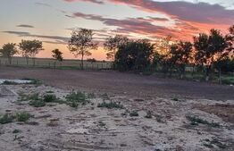 Casa la 30 min de TM, 3 Camere renovate, Baie utilata, 2413mp, 