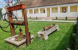 Casa la 30 min de TM, 3 Camere renovate, Baie utilata, 2413mp, 