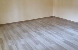 Casa la 30 min de TM, 3 Camere renovate, Baie utilata, 2413mp, 