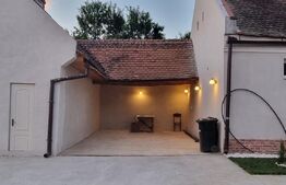 Casa la 30 min de TM, 3 Camere renovate, Baie utilata, 2413mp, 