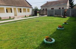 Casa la 30 min de TM, 3 Camere renovate, Baie utilata, 2413mp, 