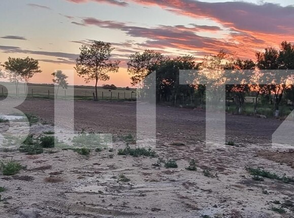 Casa de vânzare 3 camere Exterior Est - 154293CV | BLITZ Timișoara | Poza9