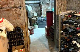 Casă deosebită în Balcescu-Elisabetin, 3 camere, D+P, St = 603mp, Su = 164 mp