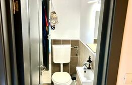 Casă deosebită în Balcescu-Elisabetin, 3 camere, D+P, St = 603mp, Su = 164 mp