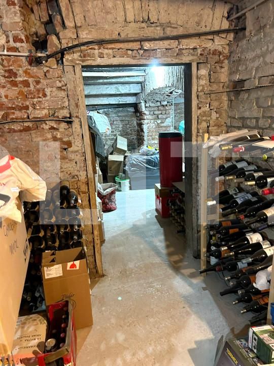 Casa de vânzare 3 camere Balcescu - 154345CV | BLITZ Timișoara | Poza13