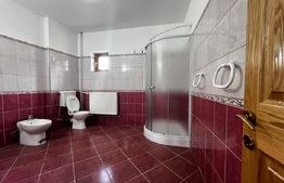 Ocazie! Casa de inchiriat, 12 camere, 355 mp, zona  Lipovei