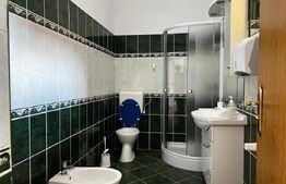 Ocazie! Casa de inchiriat, 12 camere, 355 mp, zona  Lipovei