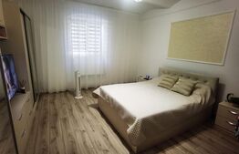 Apartament cu 2 camere in zona Balcescu