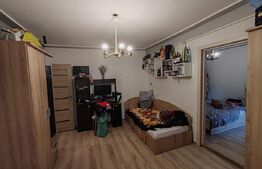 Apartament 2 camere, langa Kaufland, Piata Iuliu Maniu