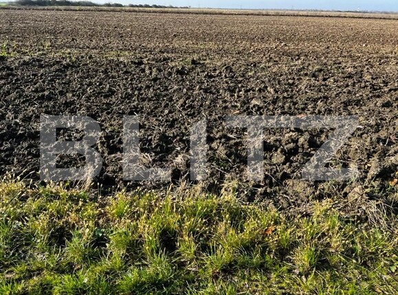 Teren de vânzare Dumbravita - 154509TV | BLITZ Timișoara | Poza1