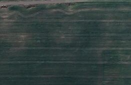 Investitie! Teren pentru PUZ, 50000 mp, Covaci  