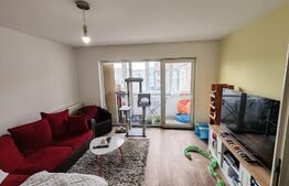 Oportunitate Apartament 3 camere, Steaua