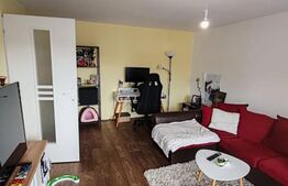 Oportunitate Apartament 3 camere, Steaua