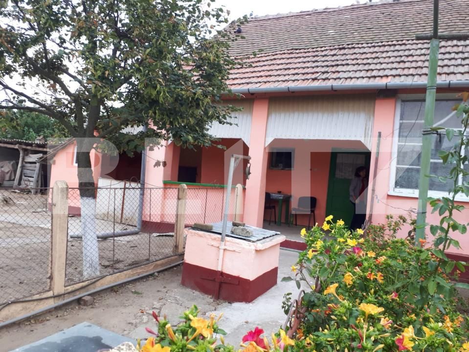 Casa de vânzare 3 camere Exterior Sud - 154590CV | BLITZ Timișoara | Poza3