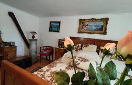 Casa batraneasca , vatra veche, teren 675, 2 fronturi stradale, Chisoda