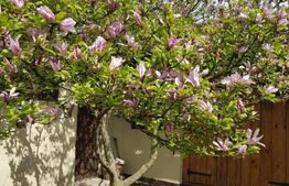 Casa individuala de 120 mp, 3000 mp teren, zona turistica Nadrag!