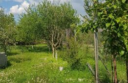 Casa individuala de 120 mp, 3000 mp teren, zona turistica Nadrag!