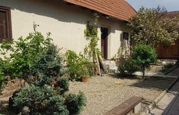 Casa individuala de 120 mp, 3000 mp teren, zona turistica Nadrag!