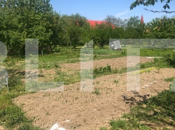 Casa de vânzare 4 camere Jdioara - 154672CV | BLITZ Timișoara | Poza5