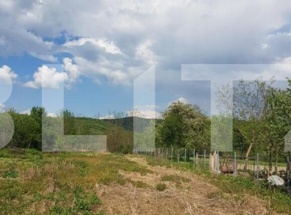 Casa de vânzare 4 camere Jdioara - 154672CV | BLITZ Timișoara | Poza4