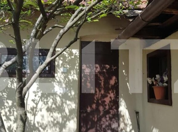 Casa de vânzare 4 camere Jdioara - 154672CV | BLITZ Timișoara | Poza13