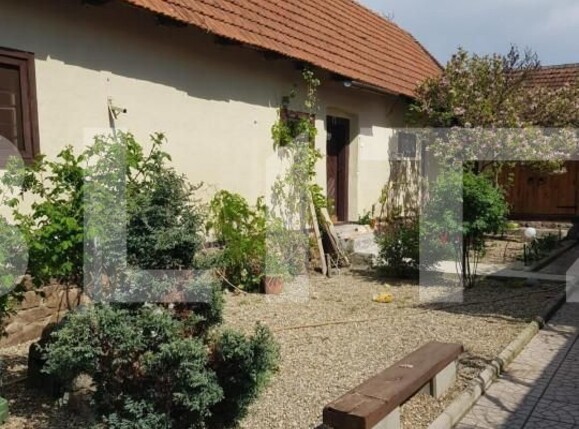 Casa de vânzare 4 camere Jdioara - 154672CV | BLITZ Timișoara | Poza1